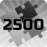 Connect 2500 puzzle pieces