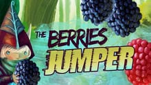 Berries Jumper