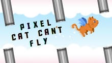 Pixel Cat Can't Fly