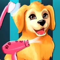 Become a Puppy Groomer