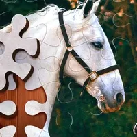 Jigsaw Puzzle Horses Edition